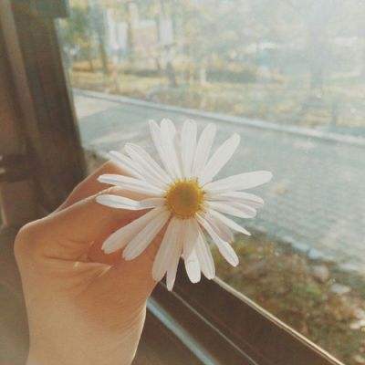 江南网页入口官方正版